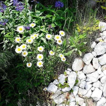 - Lehmanns Oberwiesenthal