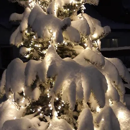 Apartamento - Lehmanns *