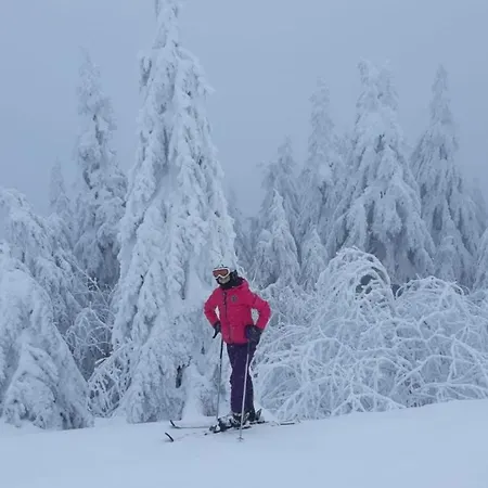 - Lehmanns Apartamento Oberwiesenthal