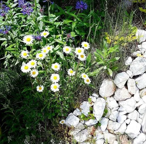 - Lehmanns Oberwiesenthal