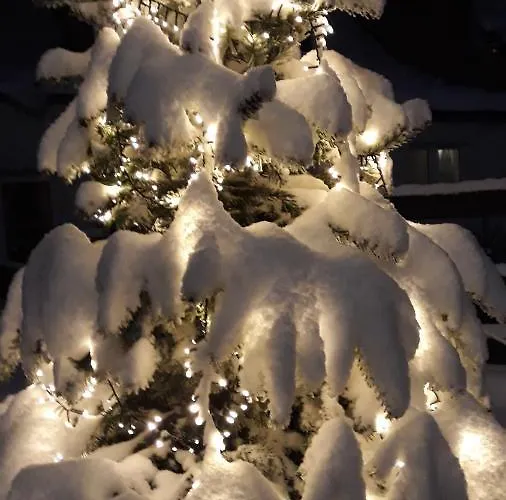 Apartment - Lehmanns *