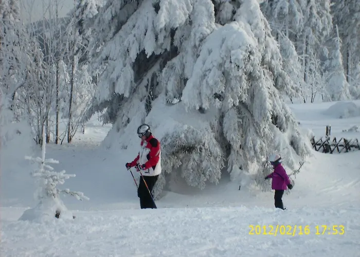 Apartment - Lehmanns Oberwiesenthal