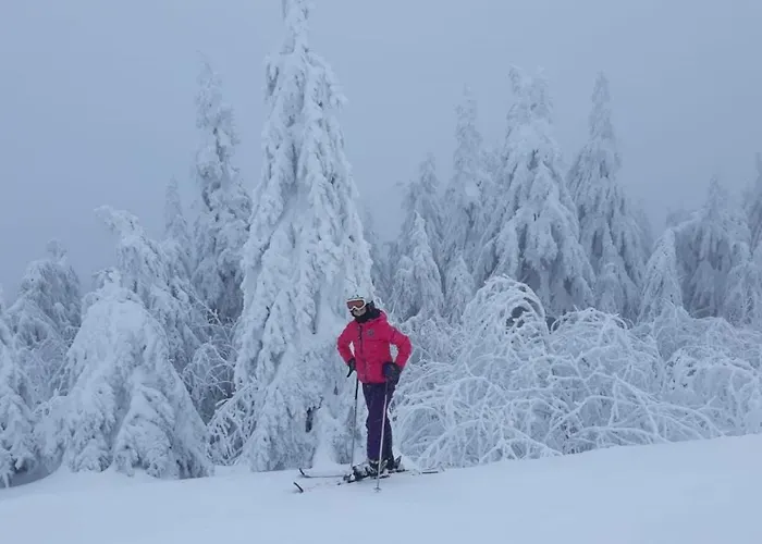 - Lehmanns Apartment Oberwiesenthal